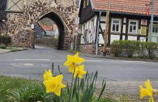 Ferienwohnung Zum Alten Cafè - Photo 50