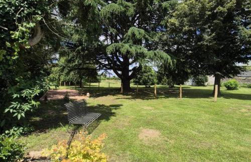 Gîte tout confort près des châteaux de la Loire avec jardin privé et borne de recharge électrique - FR-1-381-583 - Foto 27