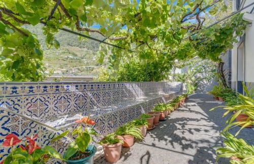 Passion Villa - Photo 24