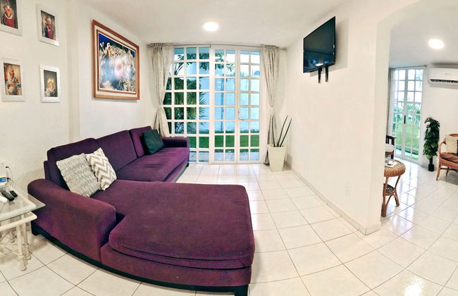 HominngBird - Foto 54