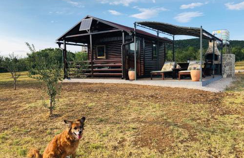 Robinson house Orkula in the heart of olive's yard - Foto 7