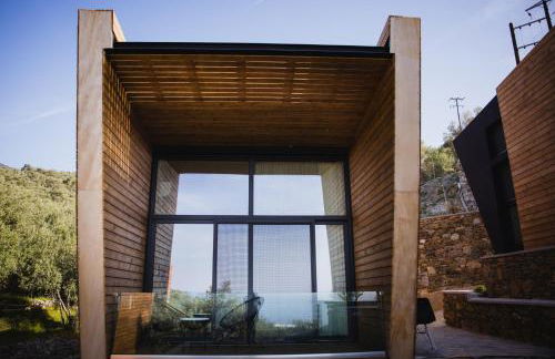 Five Olive Dream Trip - Photo 47