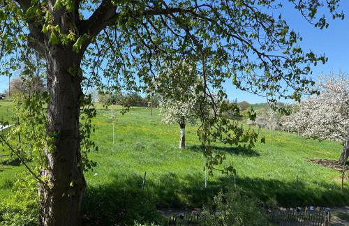 Lauenhainer Alm - Foto 28