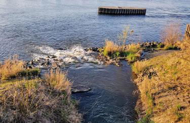 Willkommen bei Mirya - Foto 21