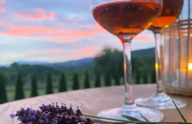 Chata Gilowicka - Beskid Żywiecki - Foto 44