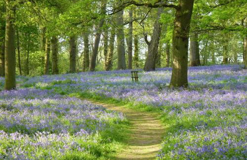 2 Bed in Norwich oc-37016 - Foto 15