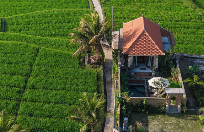 Wisana Villa Sebatu by Uniquecations - Foto 28