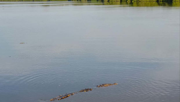 Le acque della laguna di Chacahua