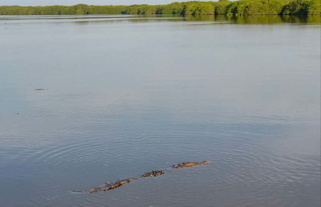 Escursione alle Lagune di Chacahua - Foto 4
