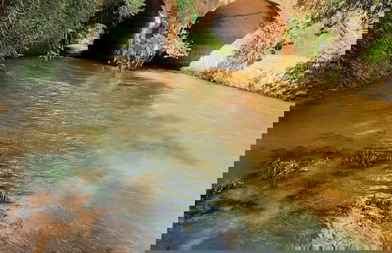 Sítio Rio Gouveia - Foto 20