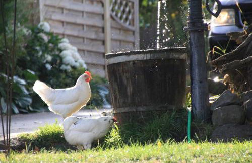 Ferienhof Heufelder Hof - Foto 6