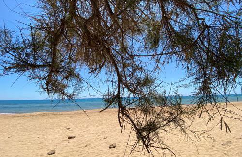 200m from the Sea - Large Private Patio with BBQ - Foto 24