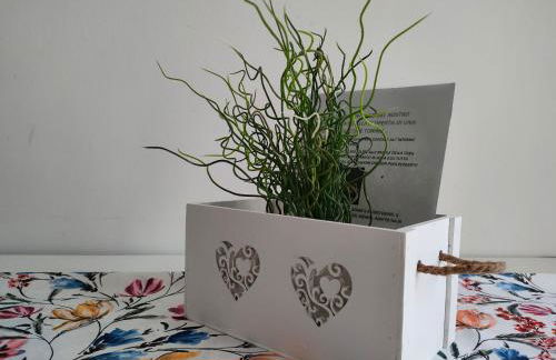 Splendido appartamento vicino al cuore di Torino - Foto 9