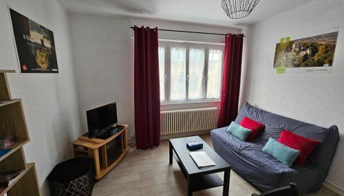 Le nid des cigognes à Colmar centre, proche gare, marchés de Noël - Foto 5