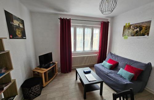 Le nid des cigognes à Colmar centre, proche gare, marchés de Noël - Foto 5