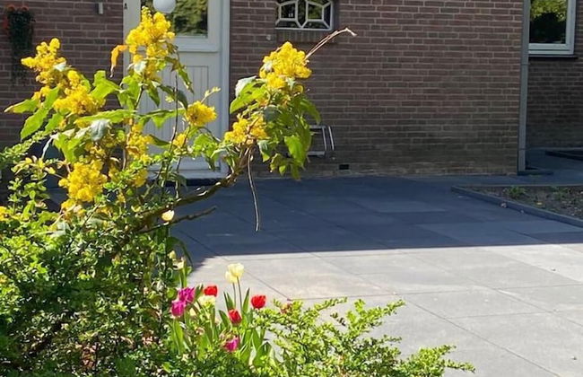 Green Paradise Apartment - Foto 30