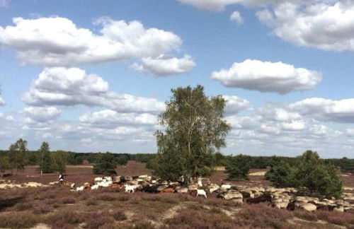 Luett Huus - Foto 35