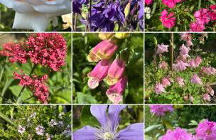 Apartment above Samantha Dadd Art Studio - in the Cotswolds - Foto 25