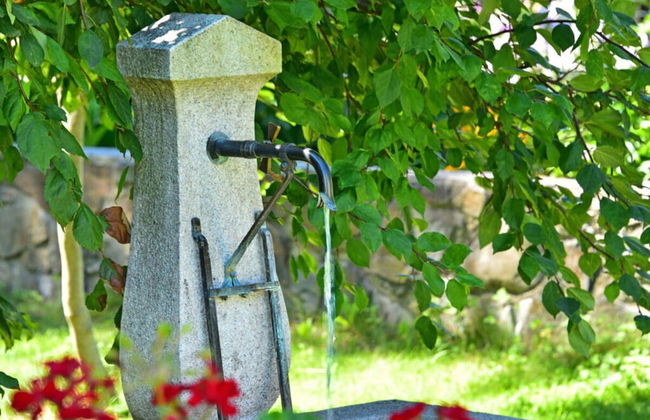 Pond View Modern Retreat - Foto 13