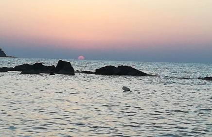 Casa Turchina 50 meters from the sea - Foto 1