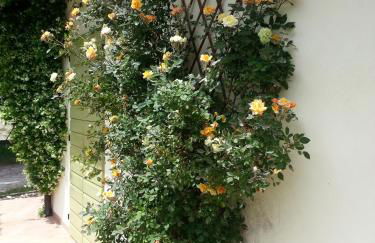 Caterina Residence - Foto 41