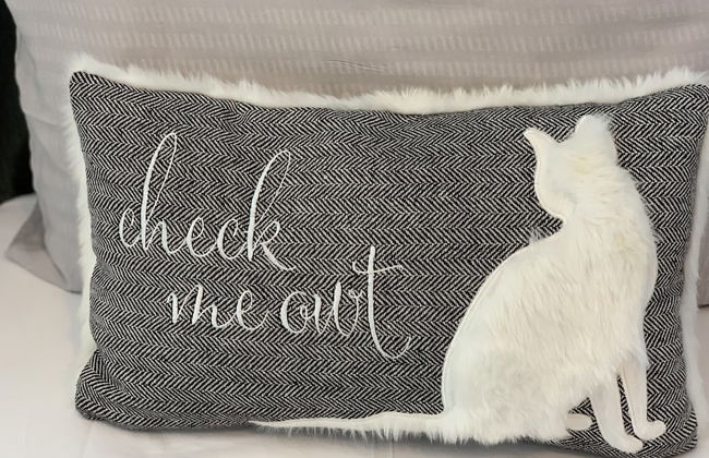 Eskdaill Place Apartment - Foto 6