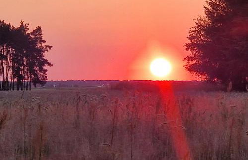 Starkowo pod lasem - Foto 36