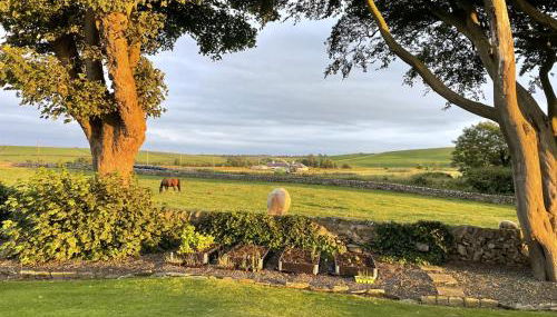 Galloway Farmstay Claunch - Foto 2