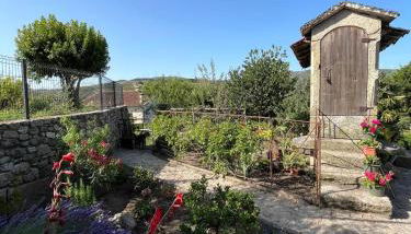 Vila Adelaide - Foto 3, Garden