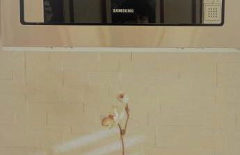 Maison Belle Vue - Foto 16