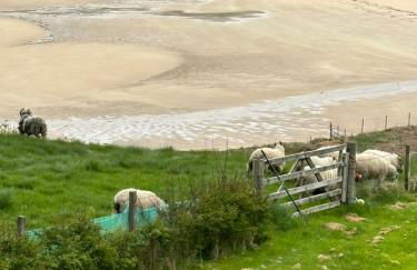 POSTBOX CROFT With A Sea View - Foto 38