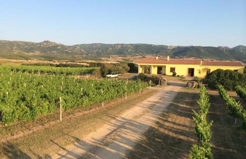 Agriturismo Campesi casale tra le vigne - Photo 40