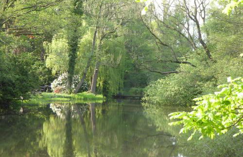 Wassermühle Stemmen - Foto 22