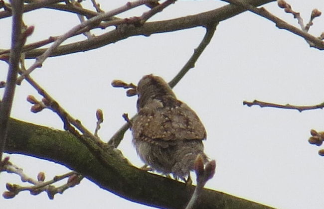 Csilla Comfortable Holiday Residence - Foto 29