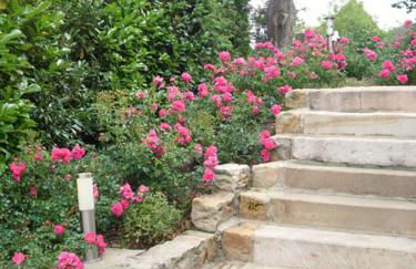 Villa Fleurie - Foto 7