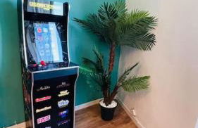 Jungle (Play) Room - Foto 12