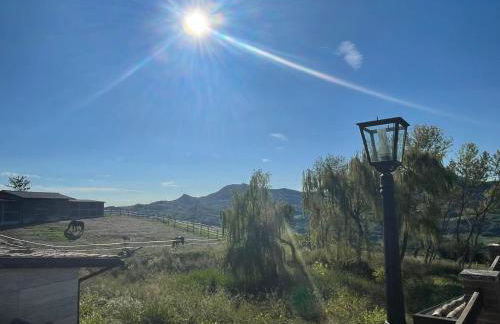 Agriturismo cergallina - Photo 36