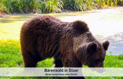 Wohlfühlparadies Max, Stuer - Strandnah am Plauer See mit Wlan und Parkplatz - Foto 32