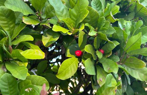 Artistic Retreat, King Suite with Private Balcony! - Foto 62