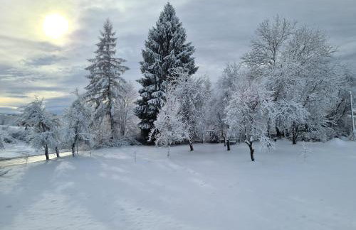 Apartment & Room Monika - Foto 24