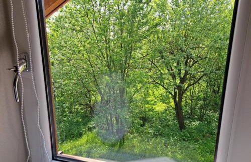 Brzozowy Zakątek - Foto 63