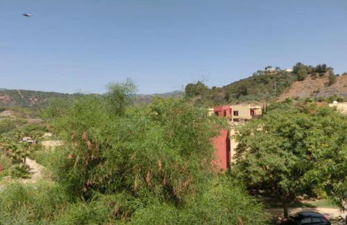 Apartamentos Parque Botanico - Photo 19