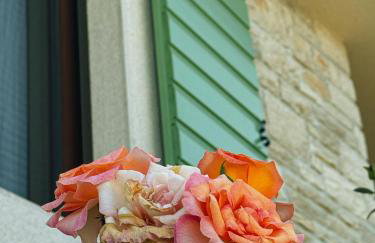 Villa Vita e Sole - Foto 57