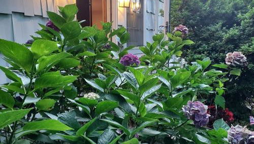 Southampton Village, 2 Fireplaces, Walk to All - Foto 2