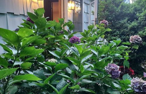 Southampton Village, 2 Fireplaces, Walk to All - Foto 2