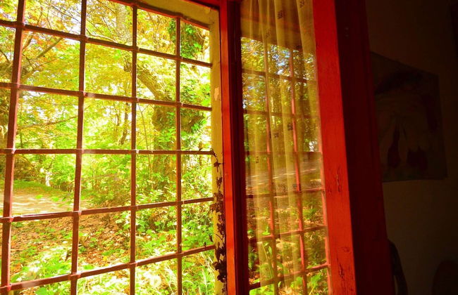 Spacious Home With Shared Pool - Photo 37