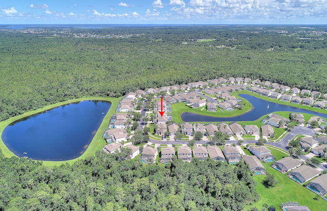 Lakeside Spa, AC in Games Room - Tropics! 822 - Foto 16