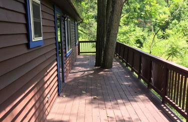 The Landing on Shavers - Foto 13