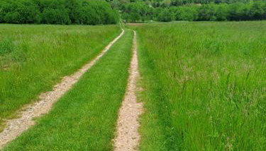 Bambi Forest House - Foto 5