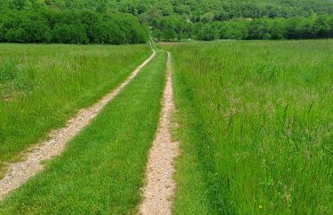 Bambi Forest House - Photo 5